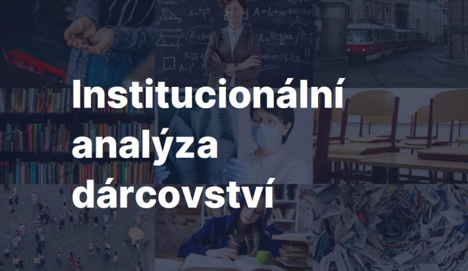 Institucionální analýza_náhled